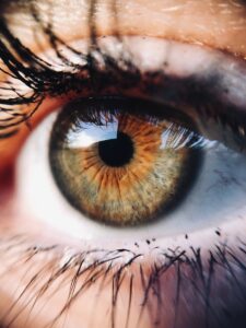 Entdecke die Geheimnisse der grün-braunen Augen