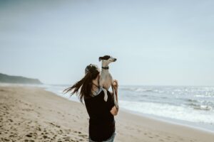 Urlaub und Hunde: Hundestrände