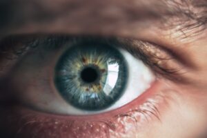 Die Genetik der grün-blaugrauen Augen