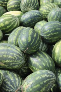 Tipps zum Kauf einer guten Wassermelone
