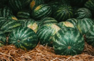 Erkennen der Reife und Frische einer Wassermelone