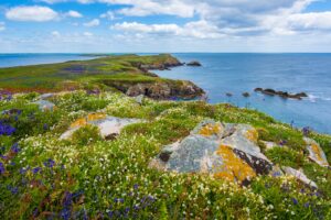Naturwunder: Atemberaubende Landschaften Irlands
