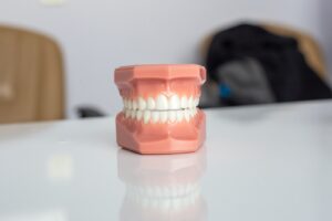 Die Struktur und Funktion der Zähne
