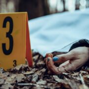 Die 10 spannendsten skandinavischen Krimiserien auf Netflix 2024 – Nordic Noir vom Feinsten 3 Die 10 spannendsten skandinavischen Krimiserien auf Netflix